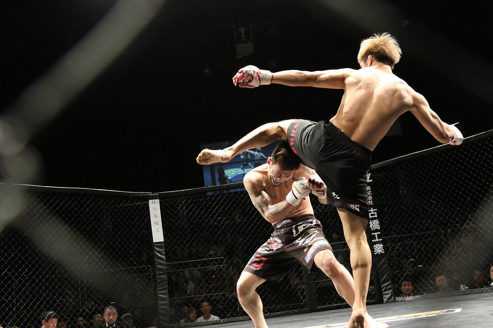 Mix Martial Arts Training